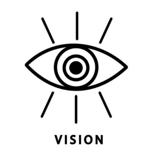 vision